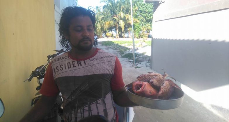 Maldives, Малдиви