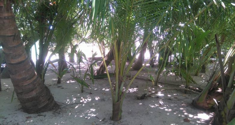 Maldives, Малдиви