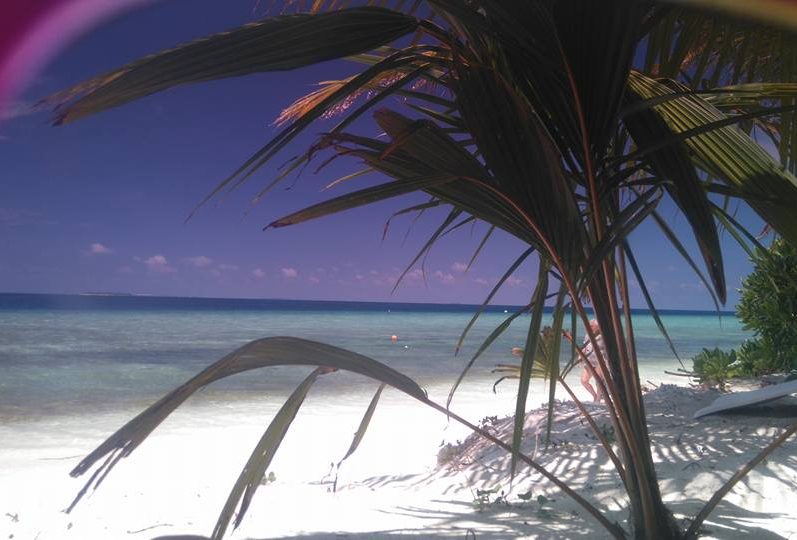 Maledives, advisor, assistent, consierge, consultant, designer, expert, indipendant, individual, Lazarova, organisator, personal, strategy, travel, trip, organized, excursion, tour, holiday, journey, Vanina, асистент, Ванина, дизайнер, експерт, индивидуален, консиерж, консултант, Лазарова, личен, независим, организатор, персонален, пътешествие, стратег, съветник, травъл, трип, туризъм, пътуване, организирано, екскурзия, почивка, agent, агент, агенция, agency, operator, оператор, плануване, план, plan, planning, tailor-made, според, конкретните, нужди, дестинация, destination, special, специални, конкретни, интереси, interest, specialisation, специализация, уникално, Малдиви, unique, authentic, автентично, датайлен, detailed, опит, experience