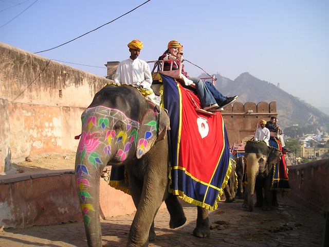 Индия, India